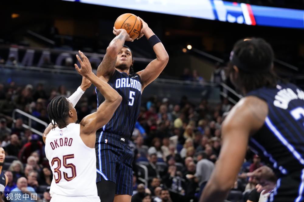 提供了新的 提供了新的